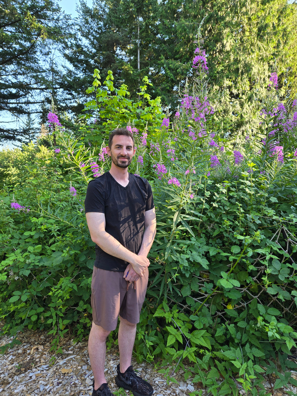 Chamaenerion angustifolium